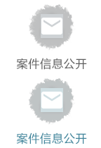案件信息公开