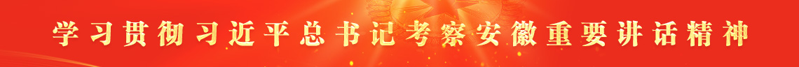 学习贯彻习近平总书记考察安徽重要讲话精神