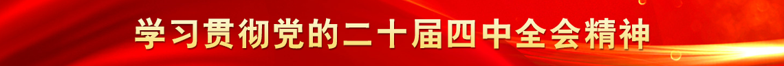 学习贯彻党的二十届四中全会精神