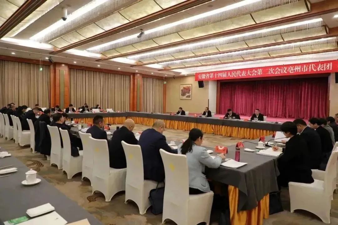  Representative Chen Wu deliberates the work report of the Standing Committee of the Provincial People's Congress