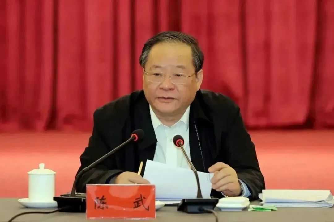  Representative Chen Wu deliberates the work report of the provincial "two institutes"