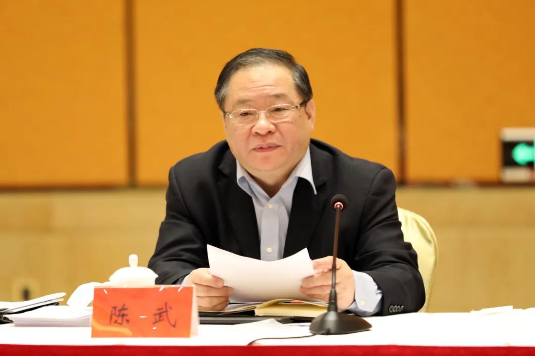 陈武代表：全力做到“四个好”，推动检察工作高质量发展
