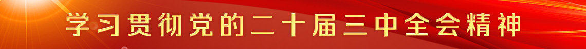 学习贯彻党的二十届三中全会精神