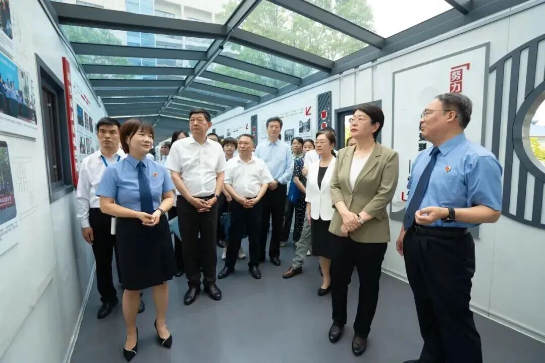 人大代表、政协委员专题视察六安检察工作