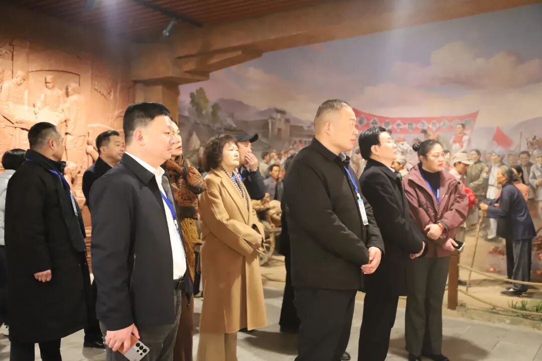 人大代表、政协委员专题视察合肥检察工作