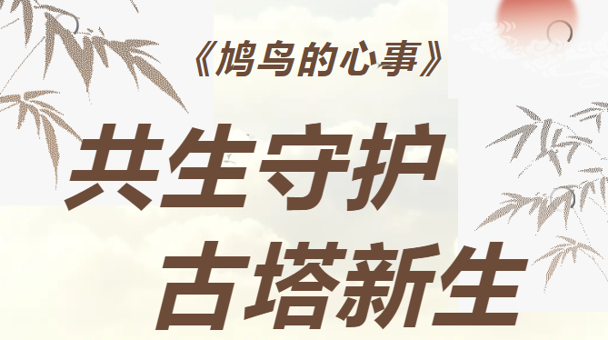 鸠鸟的心事