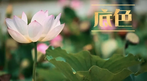 底色