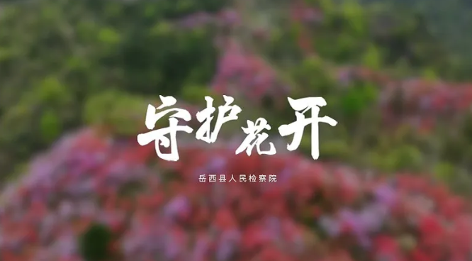 守护花开